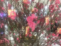 -AEON永旺(东方宝泰店)