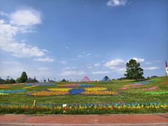 -云漫湖生态度假公园