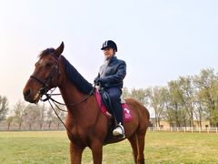 -北京群众马术培训基地