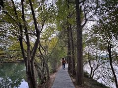 -东湖落雁景区