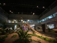 -自贡恐龙博物馆