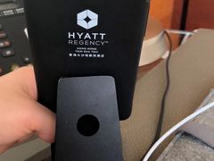 -香港尖沙咀凯悦酒店