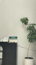 -CHUXIN初心·敏感·痘痘修护中心