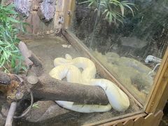 -上海大自然野生昆虫馆(东方明珠·爬宠昆虫探索中心)