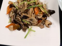 野生菌-石屏会馆