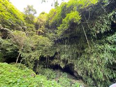 -海口火山口国家地质公园