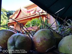 -西双版纳勐泐文化旅游区