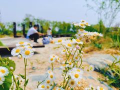 -永定河休闲森林公园