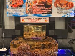 -蟹道乐(道顿堀本店)