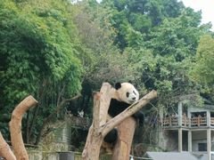 -重庆动物园·东二门售票处