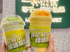 -茉酸奶(春熙路店)