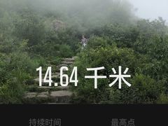 -阳台山自然风景区