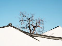 -北寺塔