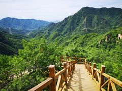 -大岭沟猕猴桃谷风景区