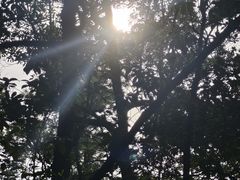 -火炉山森林公园