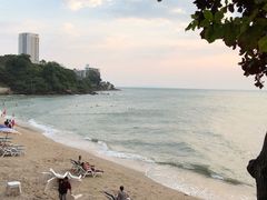 -卷心菜和避孕套餐厅(Pattaya)