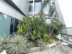 -COFFEEOLOGY咖啡学(天银店)