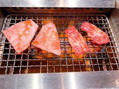 -俺的焼肉(銀座9丁目店)