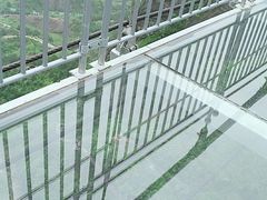 -玻璃桥景区石牛寨