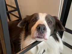 -餐酒吧Com-ing Bar(上海路店)