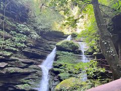 -中国大熊猫保护研究中心雅安碧峰峡基地