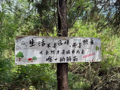 -青龙山生态文化旅游区(慈云寺)