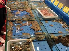 -潮庭·大连海鲜·炭火烧烤·扇贝王(大连店)