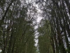-广东外语外贸大学(白云山校区)