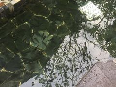 -三亚珠江南田温泉度假区