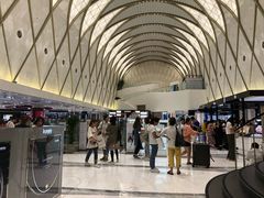-乐天免税店(明洞店)