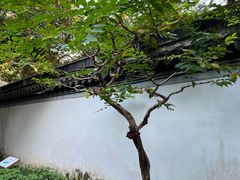 -秋霞圃
