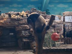 -石家庄市动物园