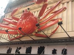 -蟹道乐(道顿堀本店)