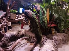 -正佳雨林生态植物园