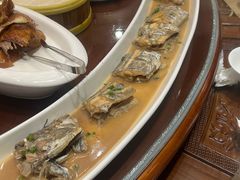 -丽苑大酒店