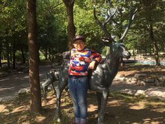 -溱湖国家湿地公园