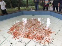 -昆山城市生态森林公园