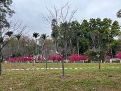 -广东外语外贸大学(白云山校区)