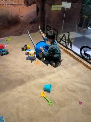 -卡通尼·Safari非洲探索乐园·生日会(金桥国际商业广场店)