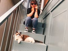 -喵屿·大理花园猫咖