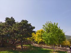 -北京西山国家森林公园