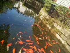 -黎阳老街