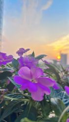 -芮澳普拉提工作室