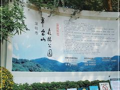 -阳台山森林公园