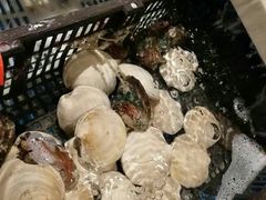-盒马渔市(平高企业集团·平高广场店)