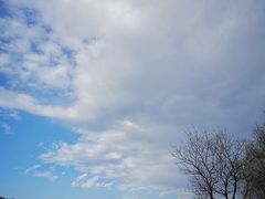 -东梓关景区村庄