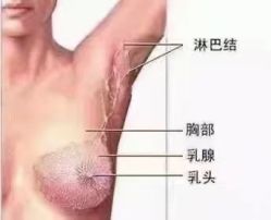 -天姿美容·美体科技SPA·艾姿美店