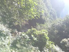 -安吉龙王山峡谷漂流