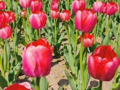 -长春公园(普阳街道)