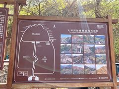 -大岭沟猕猴桃谷风景区